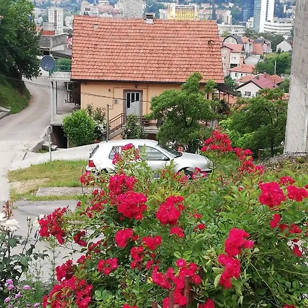 Casa vacanze Close To Scc Luxury In *