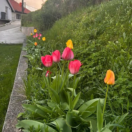Close To Scc Luxury In Nyaraló Szarajevó